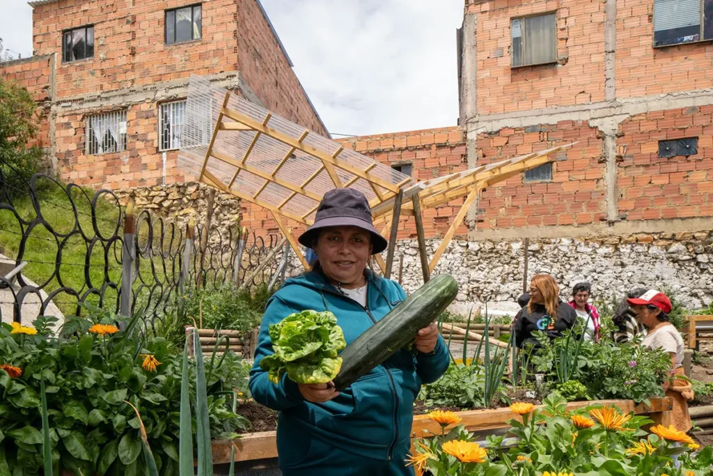 Urban Ecosystem based Adaptation