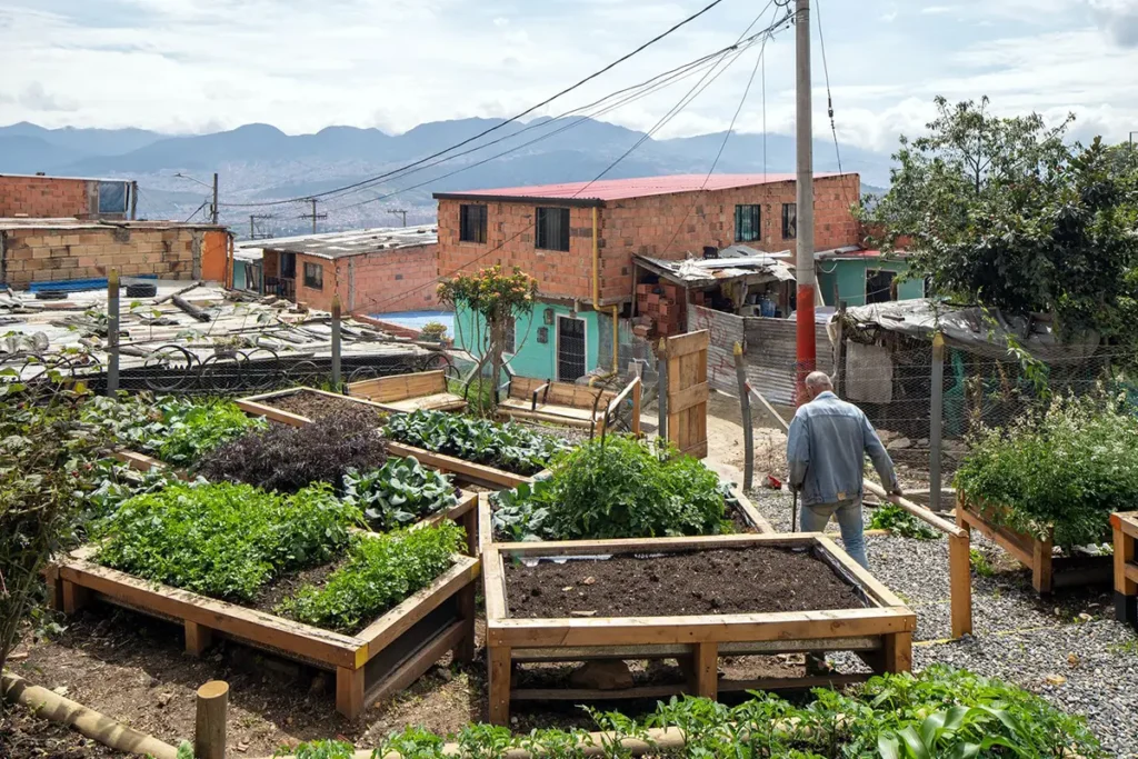 High Bed Gardens