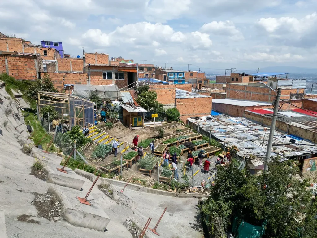 Age Friendly Urban Garden
