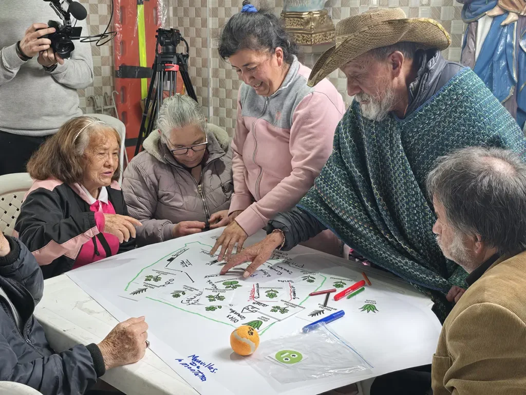 Older  People Participation